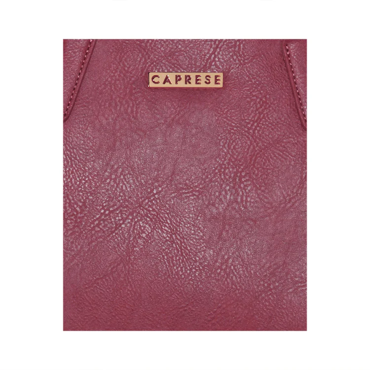 Caprese Ami Large Tote Bag - Image 14