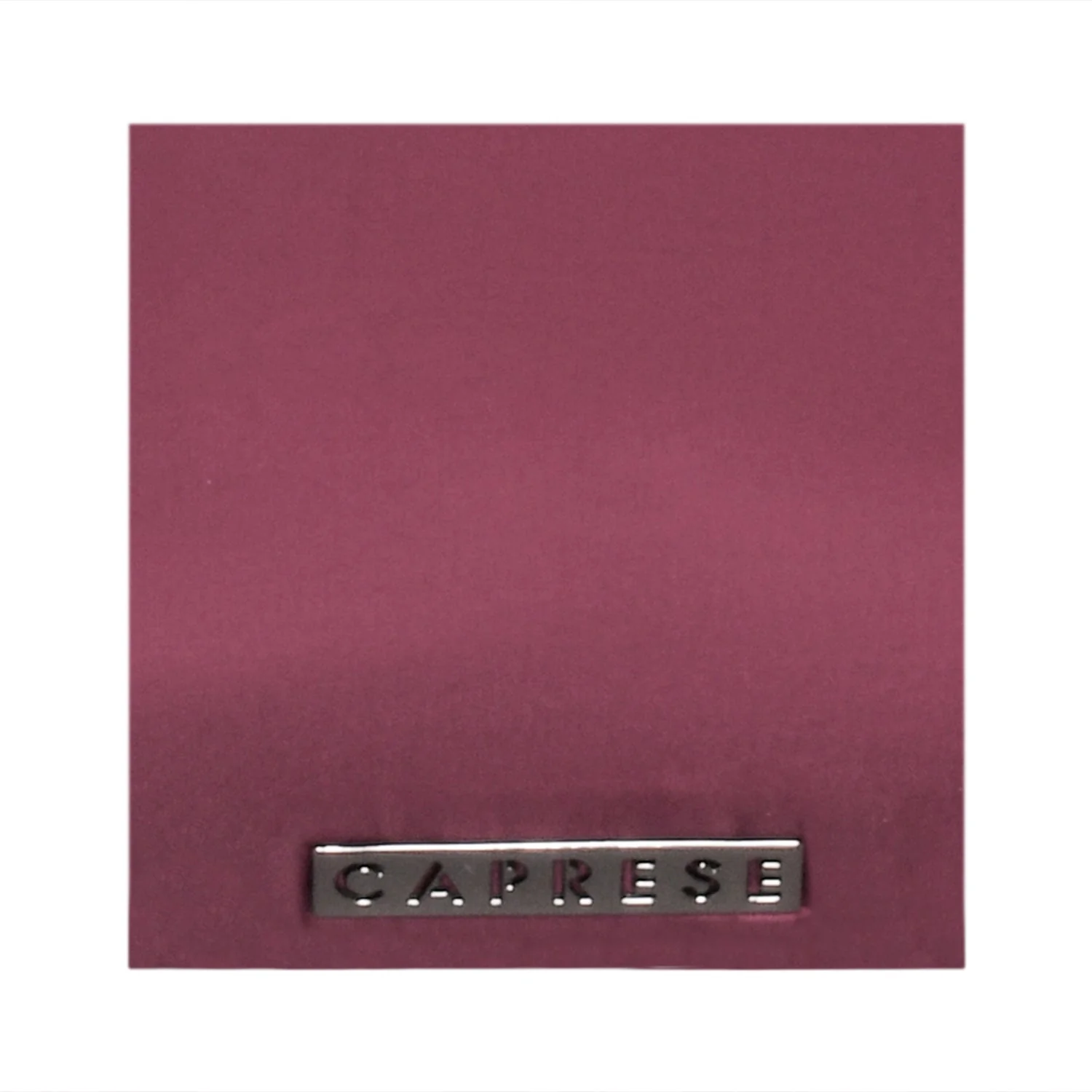 Caprese Blythe Medium Plum Backpack - Image 7