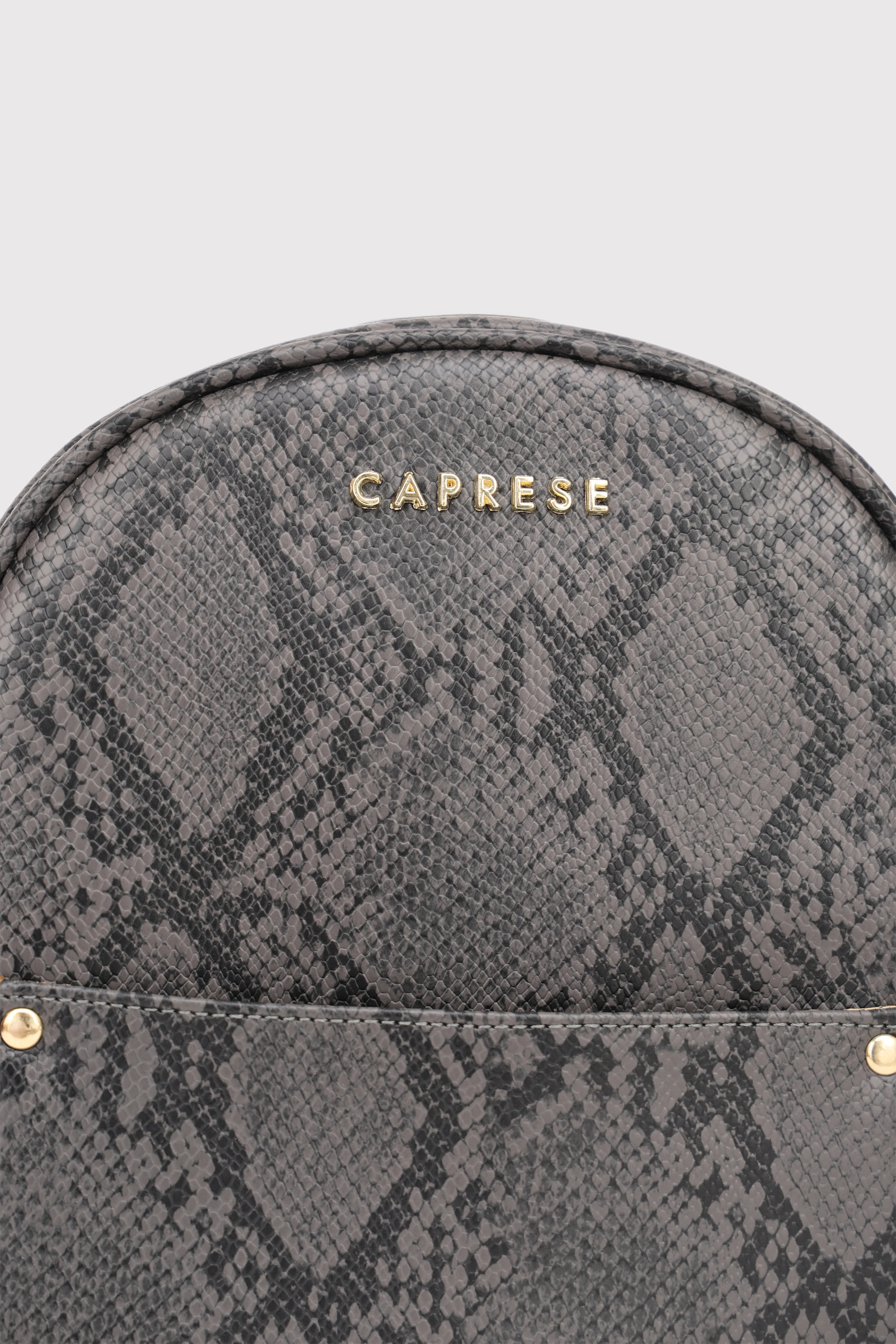Caprese Canes Small Grey Backpack - Image 2