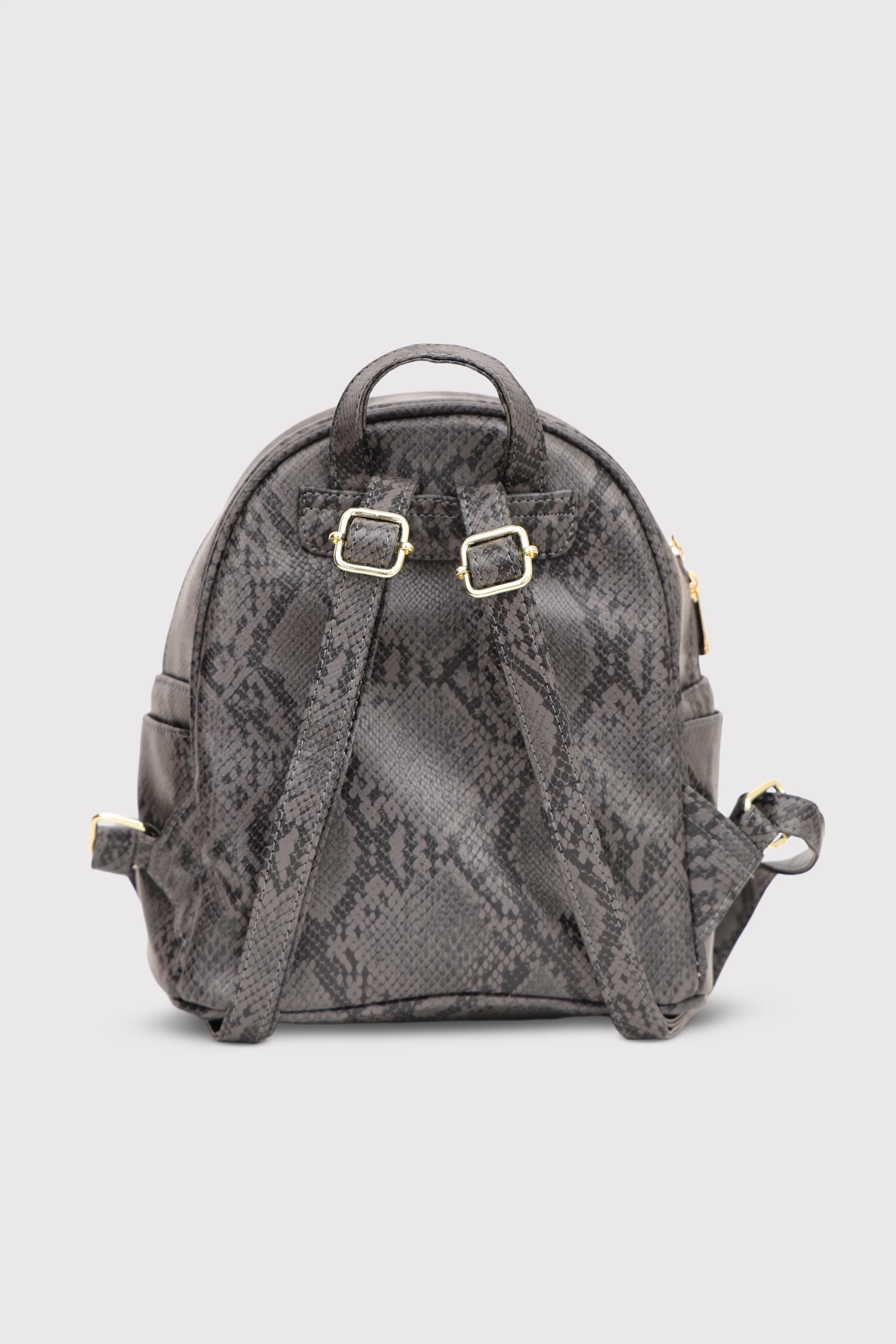 Caprese Canes Small Grey Backpack - Image 4