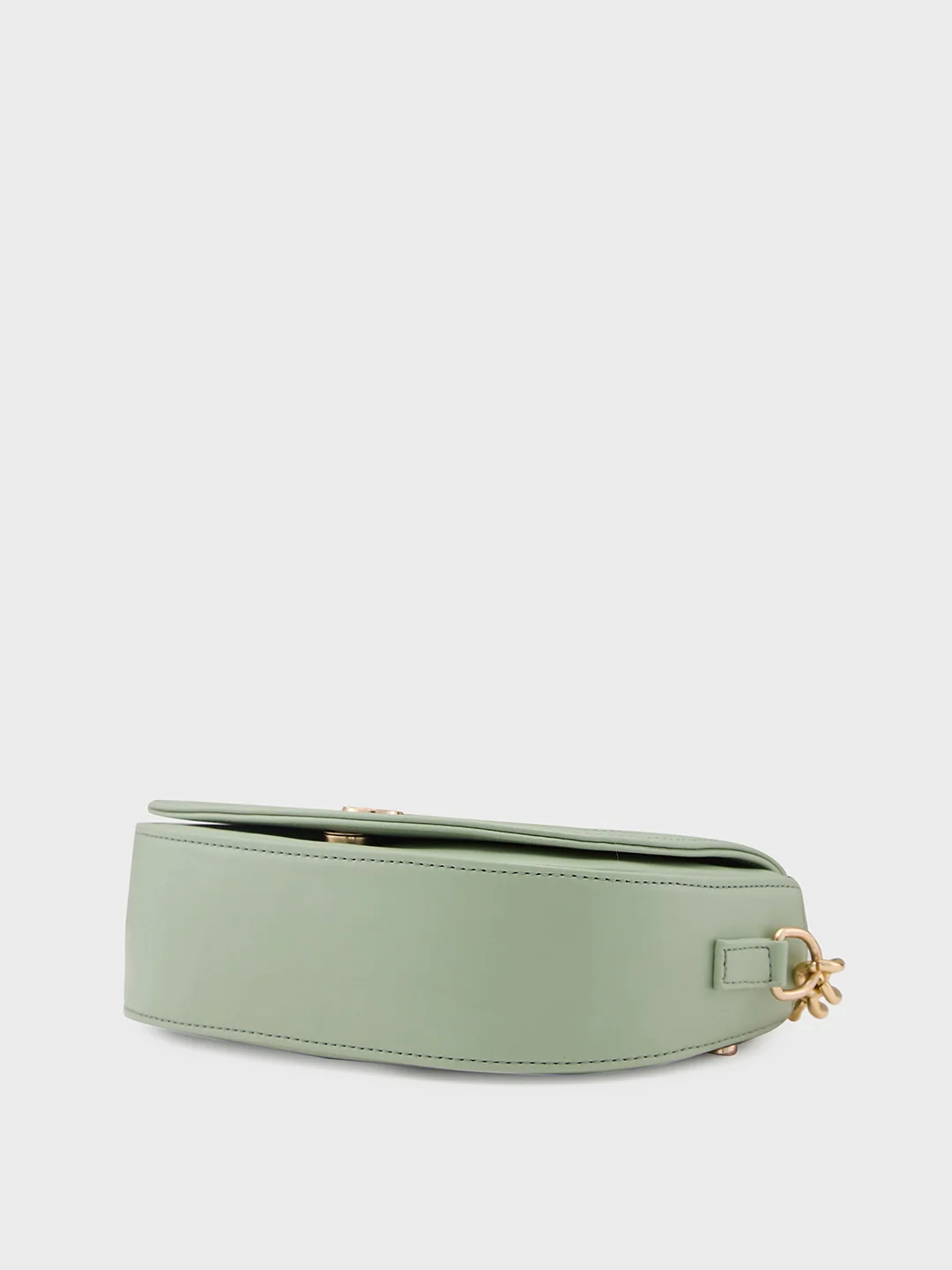 Caprese Charlot Medium Mint Sling Bag - Image 5