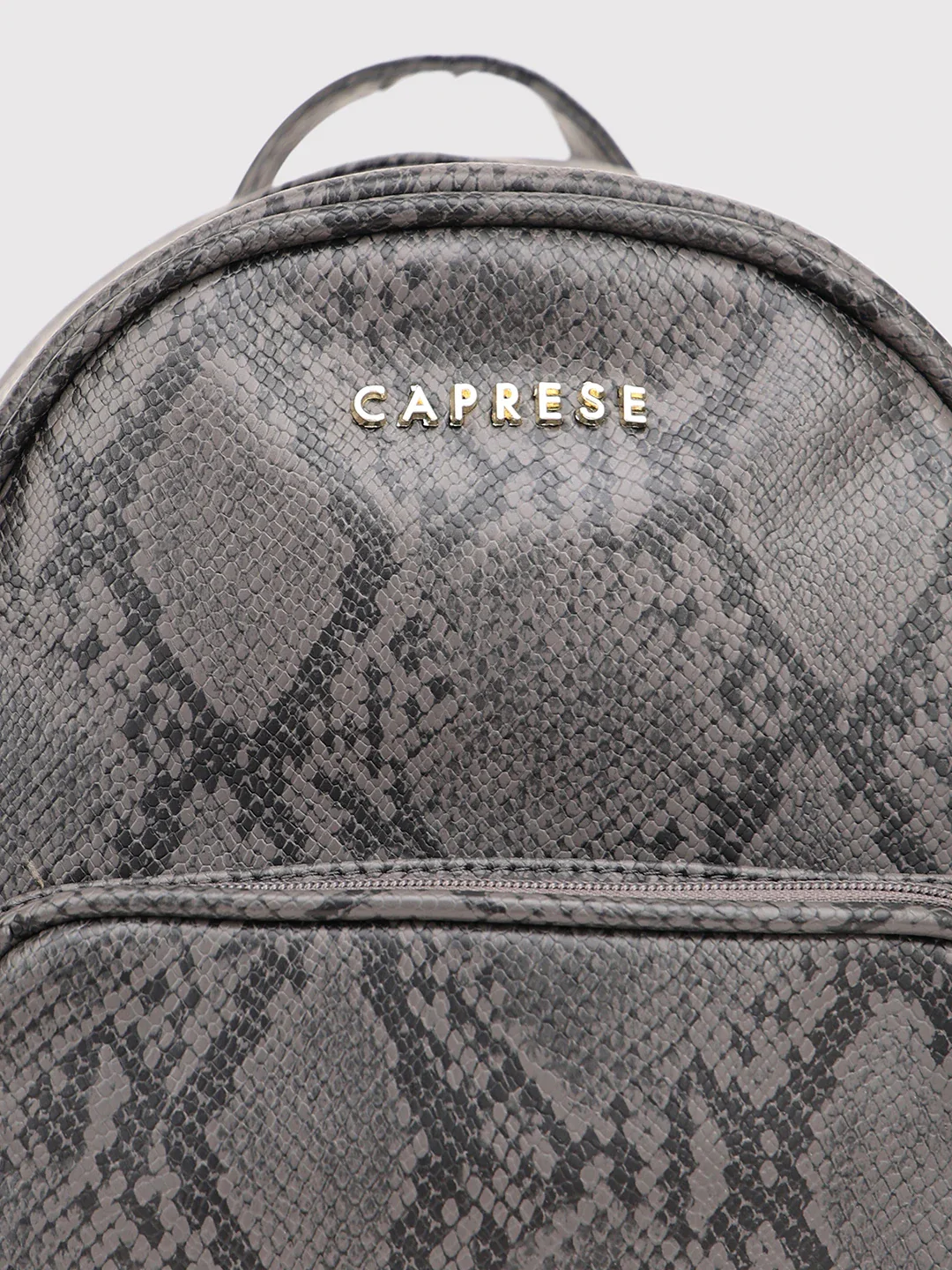 Caprese Draco Small Grey Backpack - Image 3