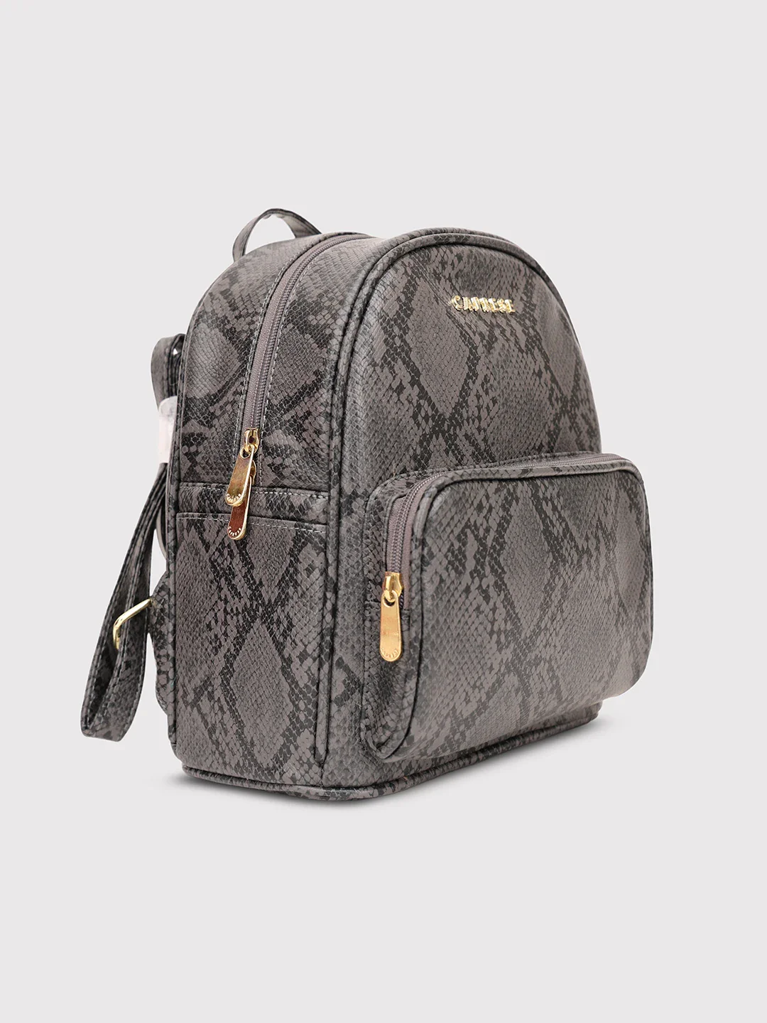 Caprese Draco Small Grey Backpack - Image 4