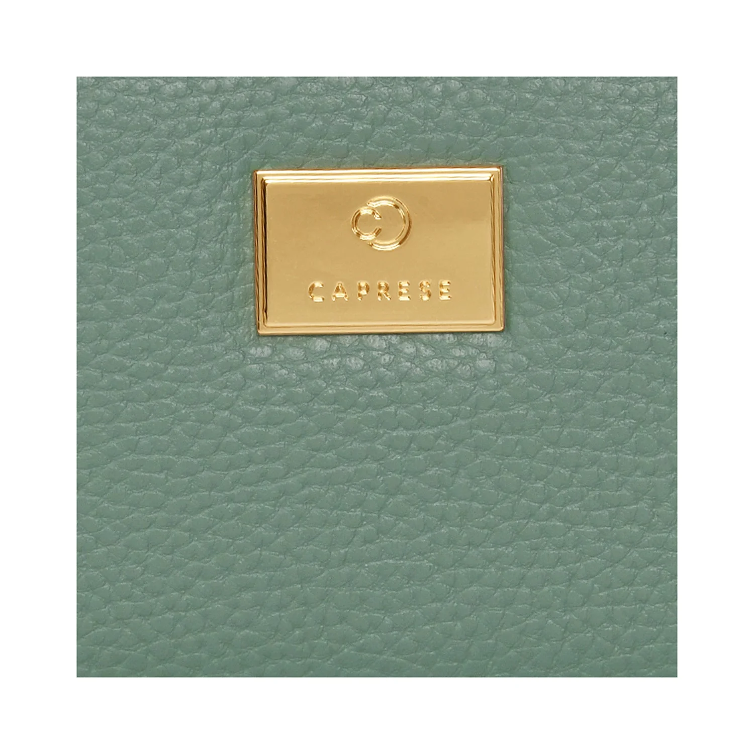 Caprese Kristin Medium Dull Green Fold Wallet - Image 7