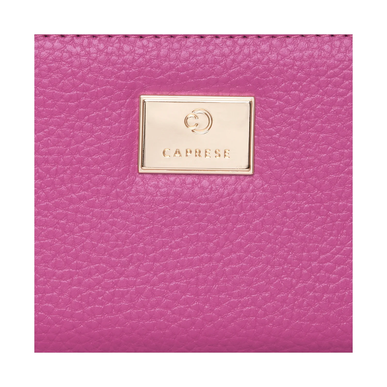 Caprese Kristin Zip Around Wallet - Image 7