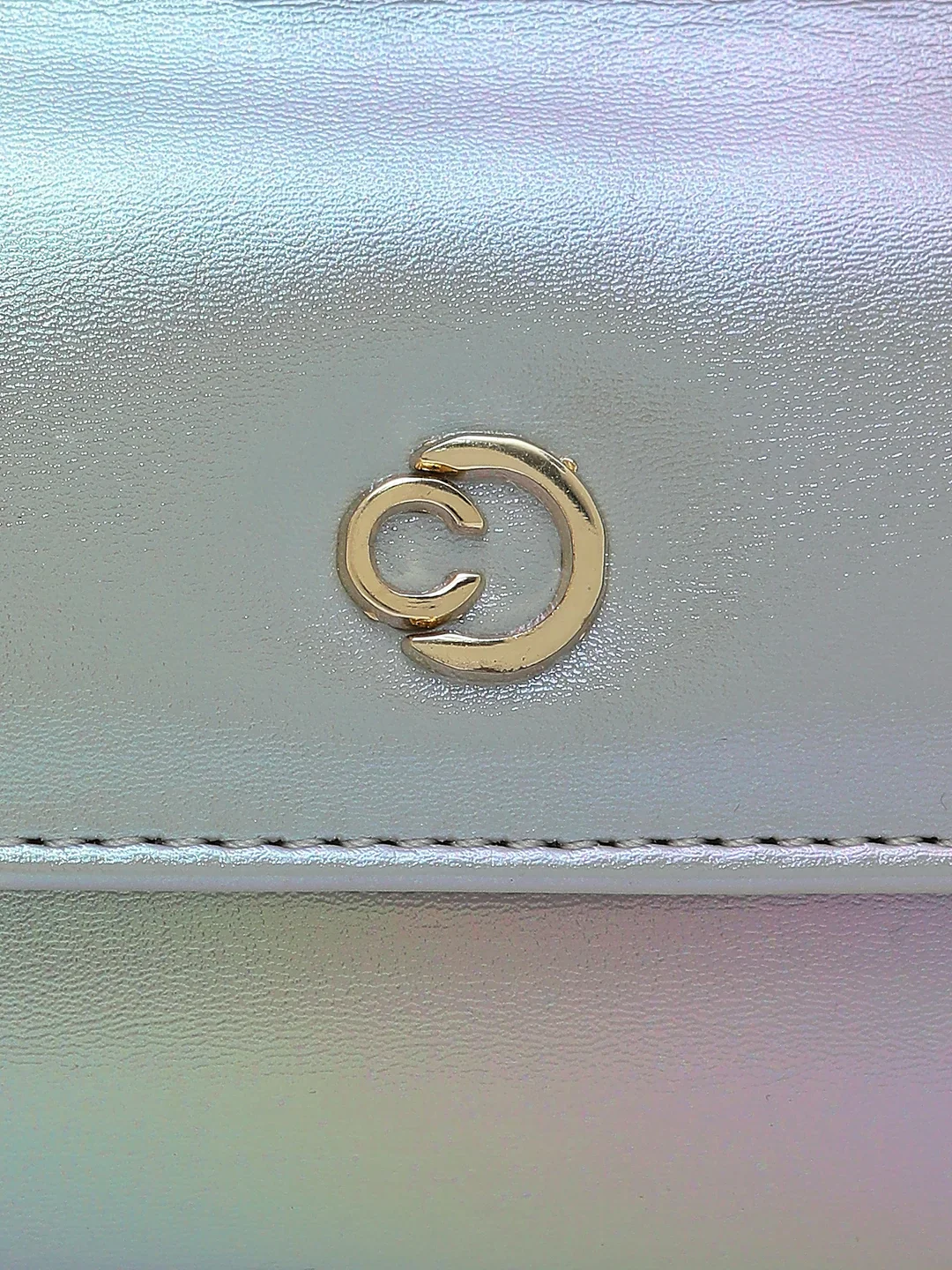 Caprese Leni Small Silver Wallet - Image 10