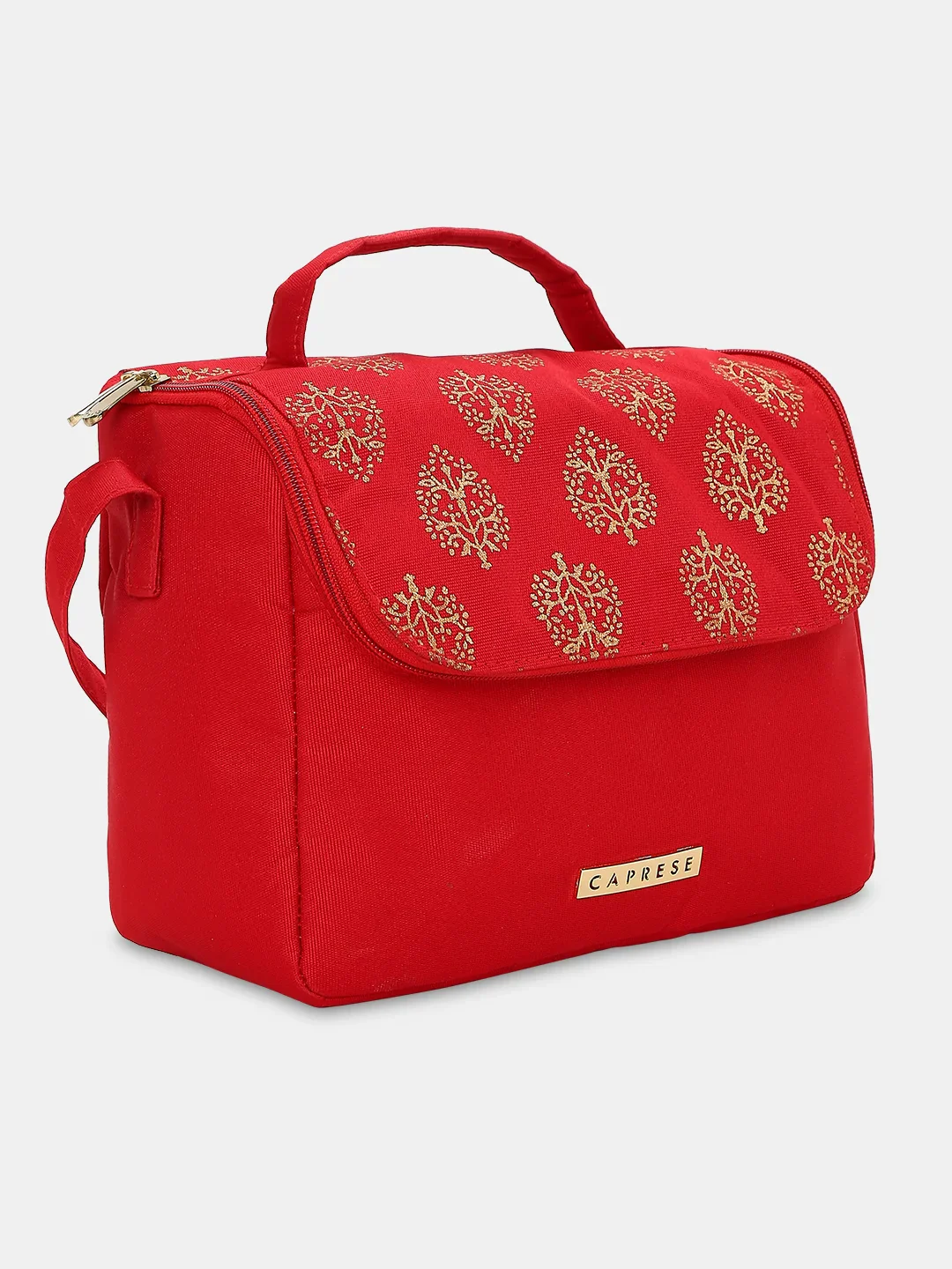 Caprese Rosy Medium Maroon Vanity Case - Image 4