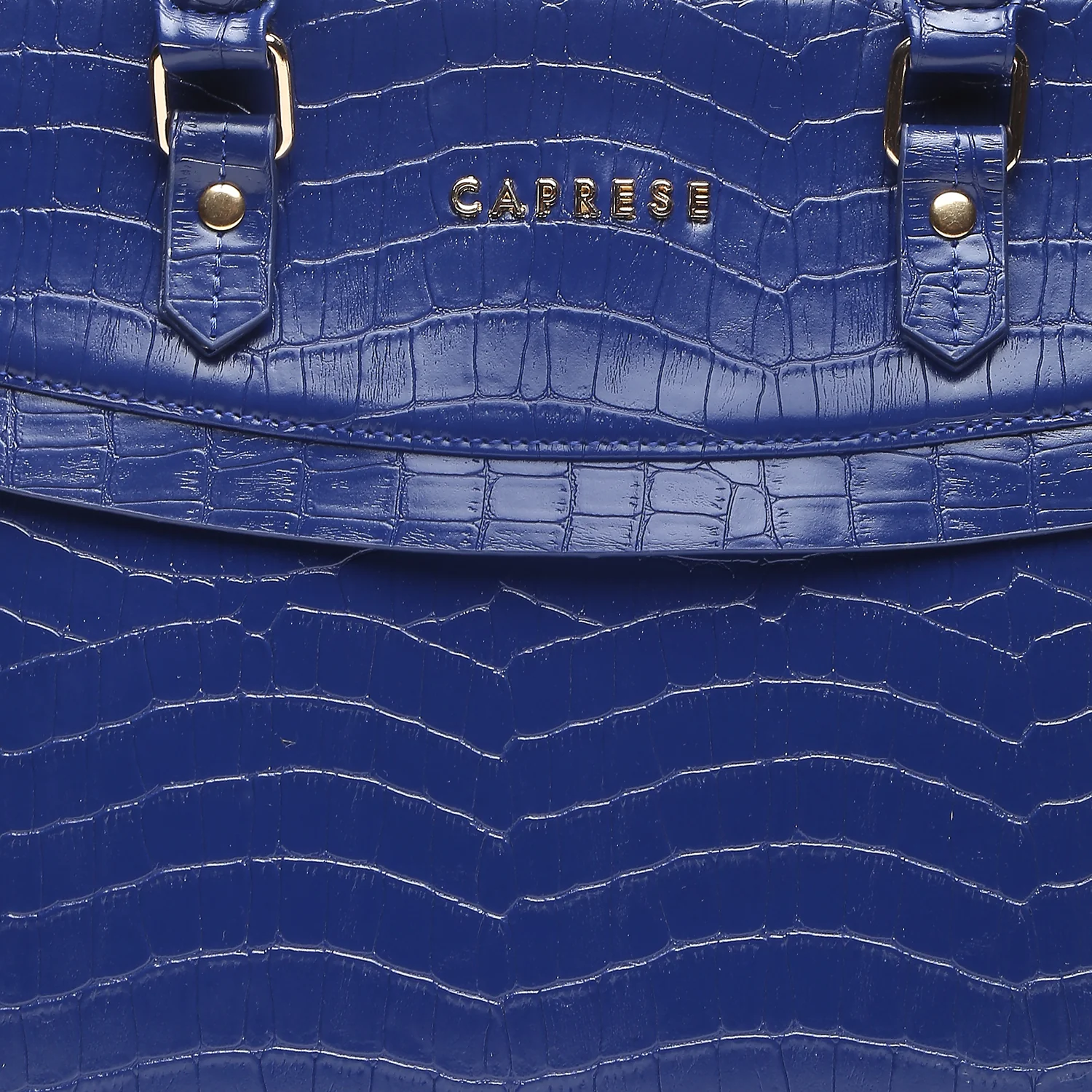 Caprese Rylee Large Satchel Bag - Image 11